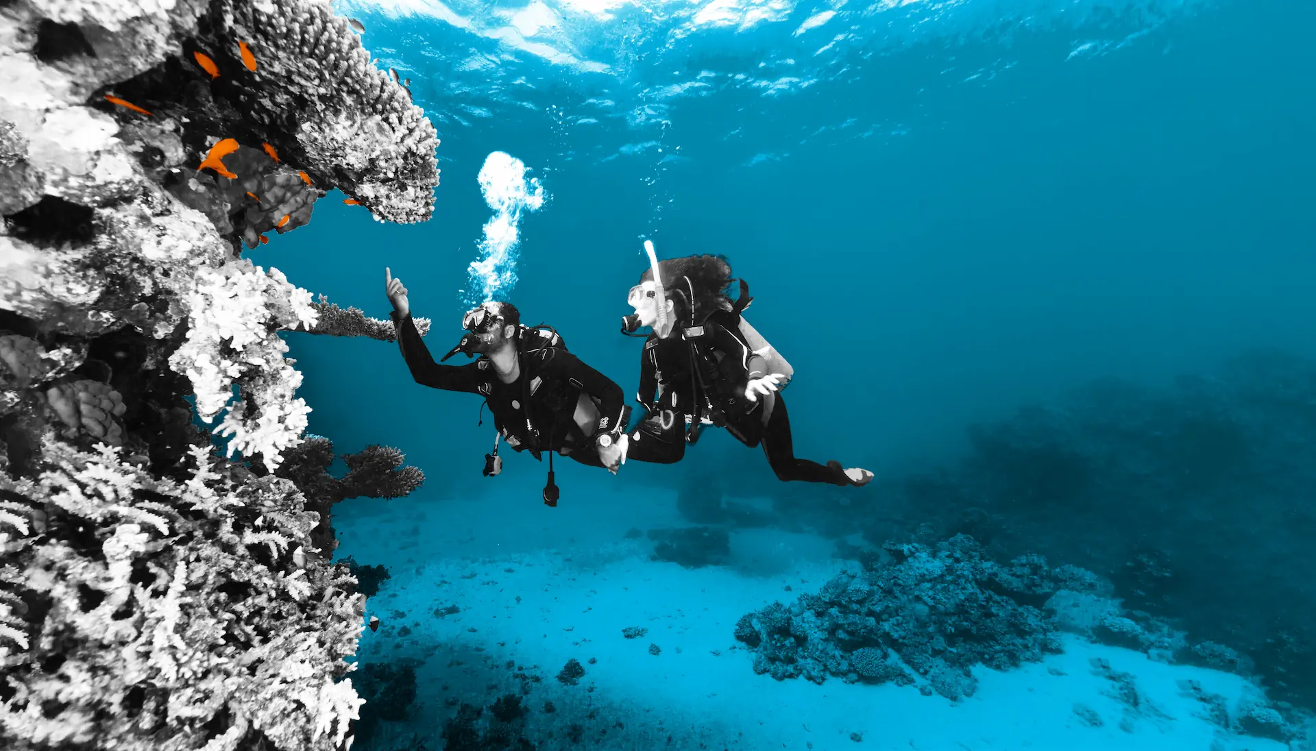 Plongée & découverte